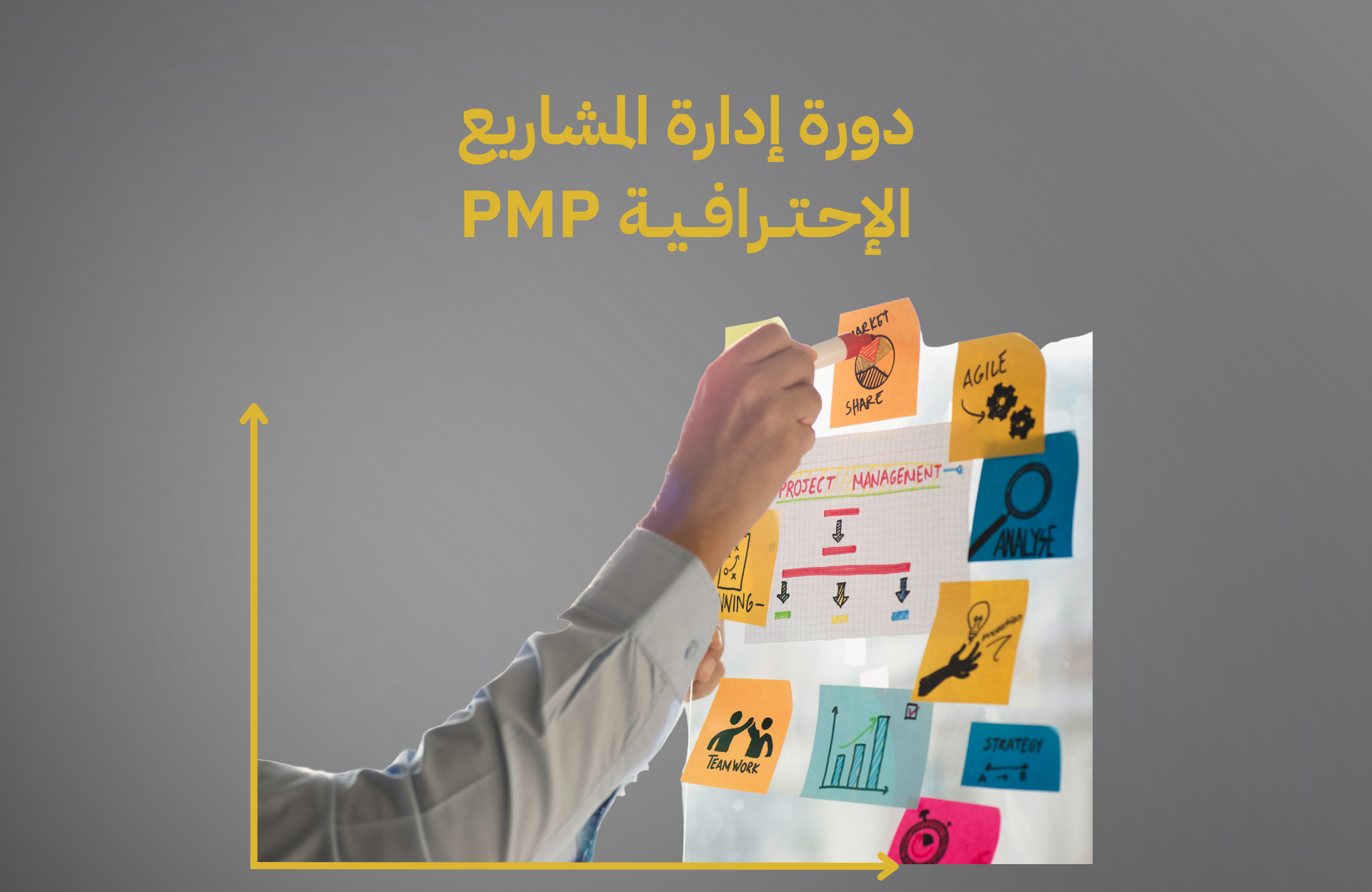 البرنامج التدريبي المتكامل في إدارة المشاريع الاحترافية PMP